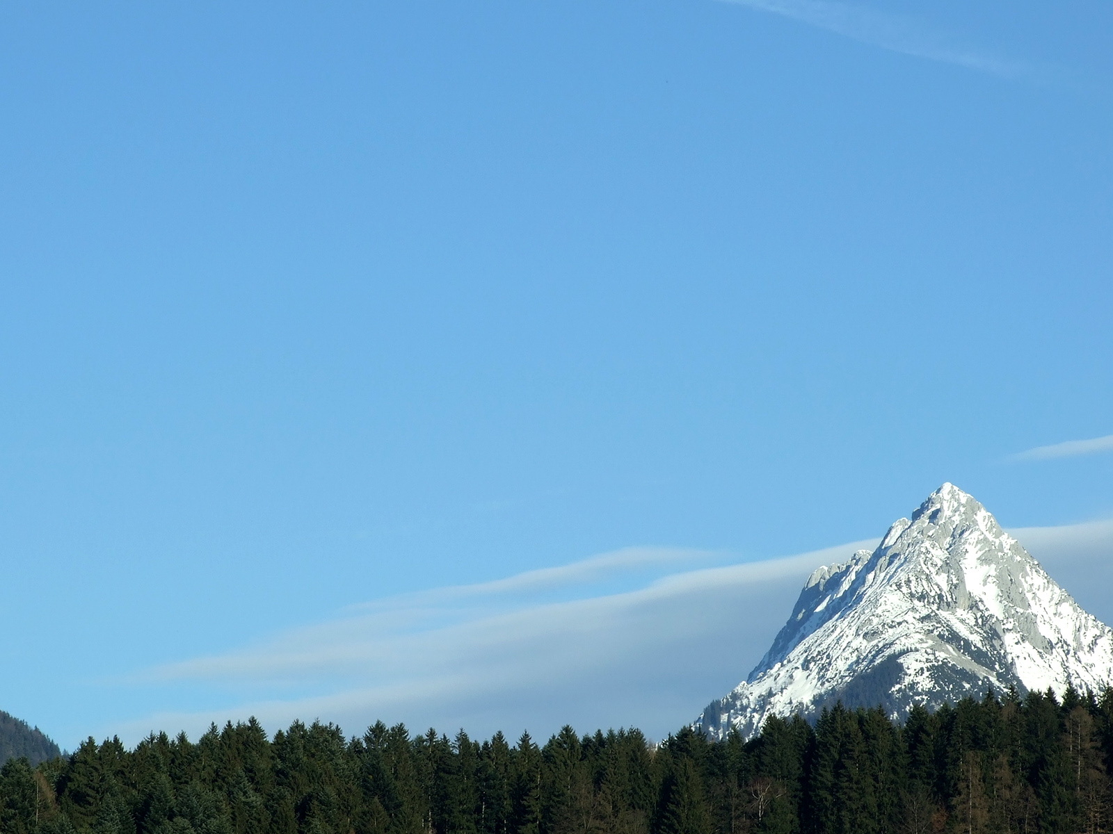 Гора над лесом