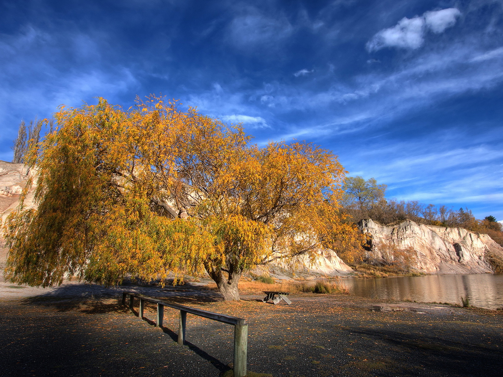 Золотое дерево
