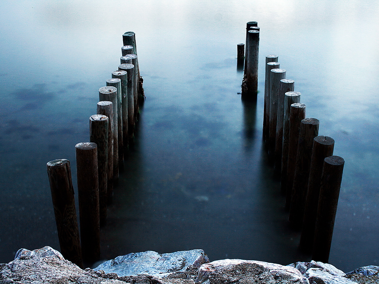 Бревна в воде