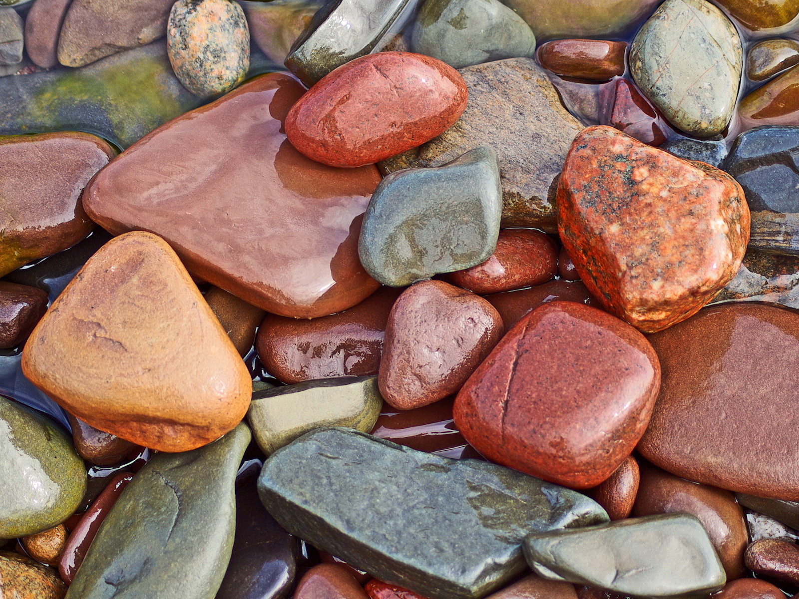 Мокрые камни