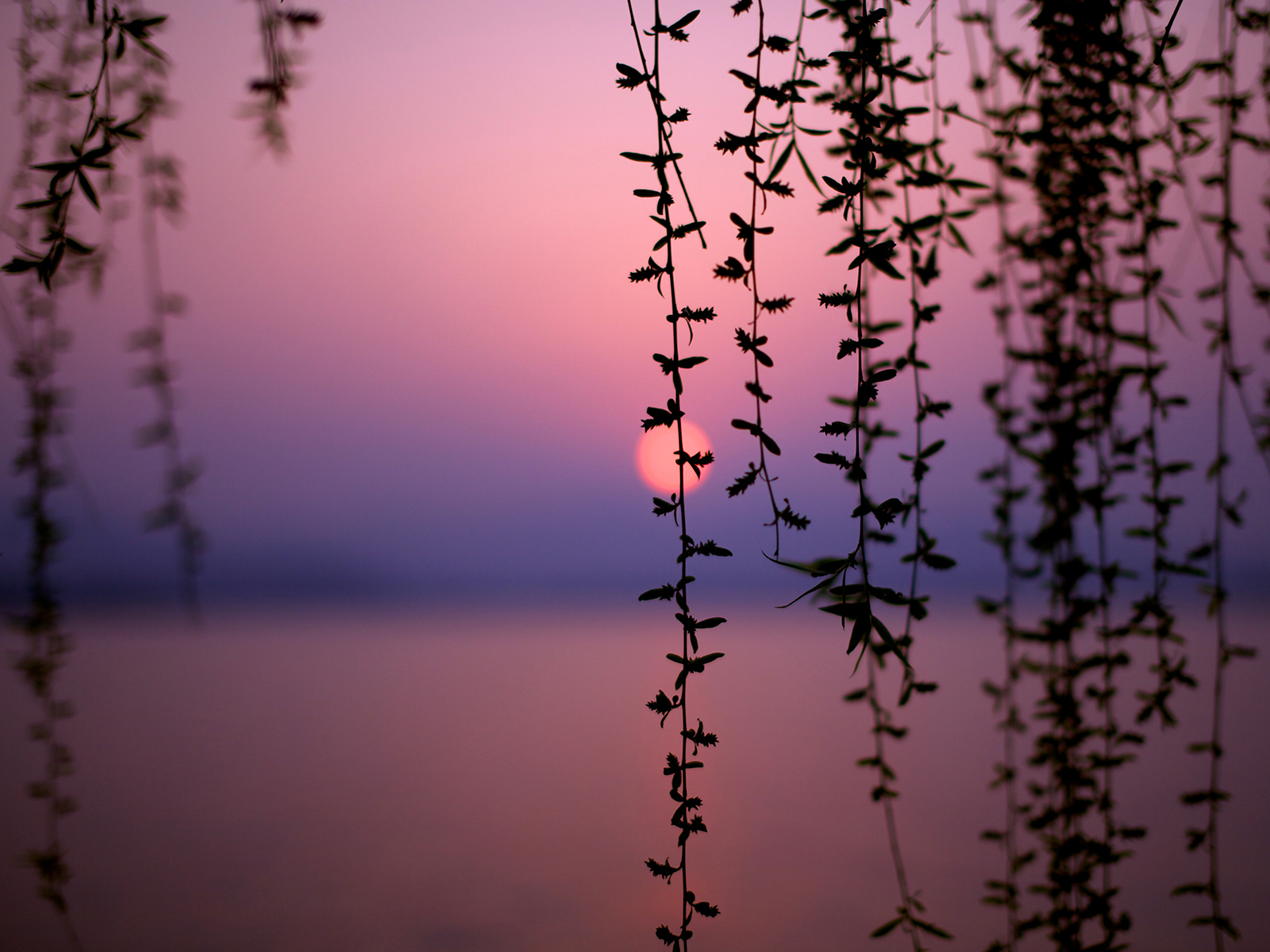 Африканский закат