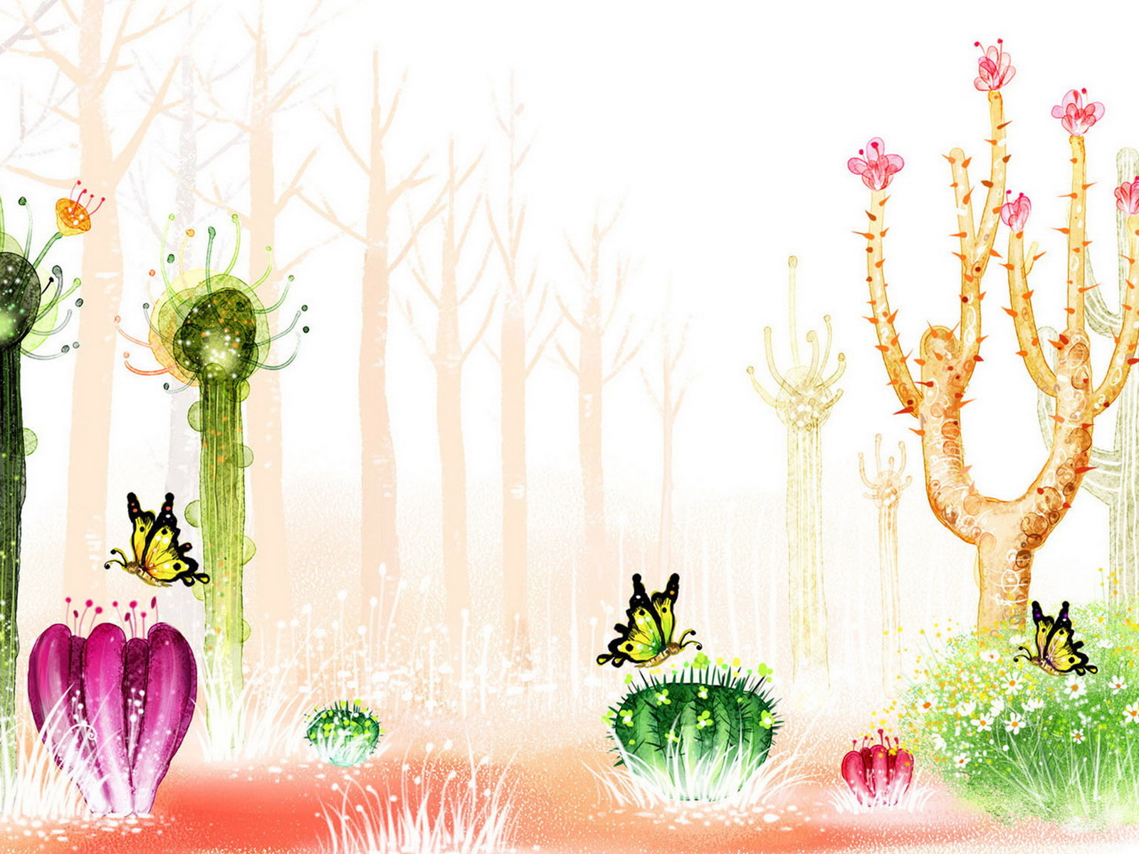 Цветущие кактусы