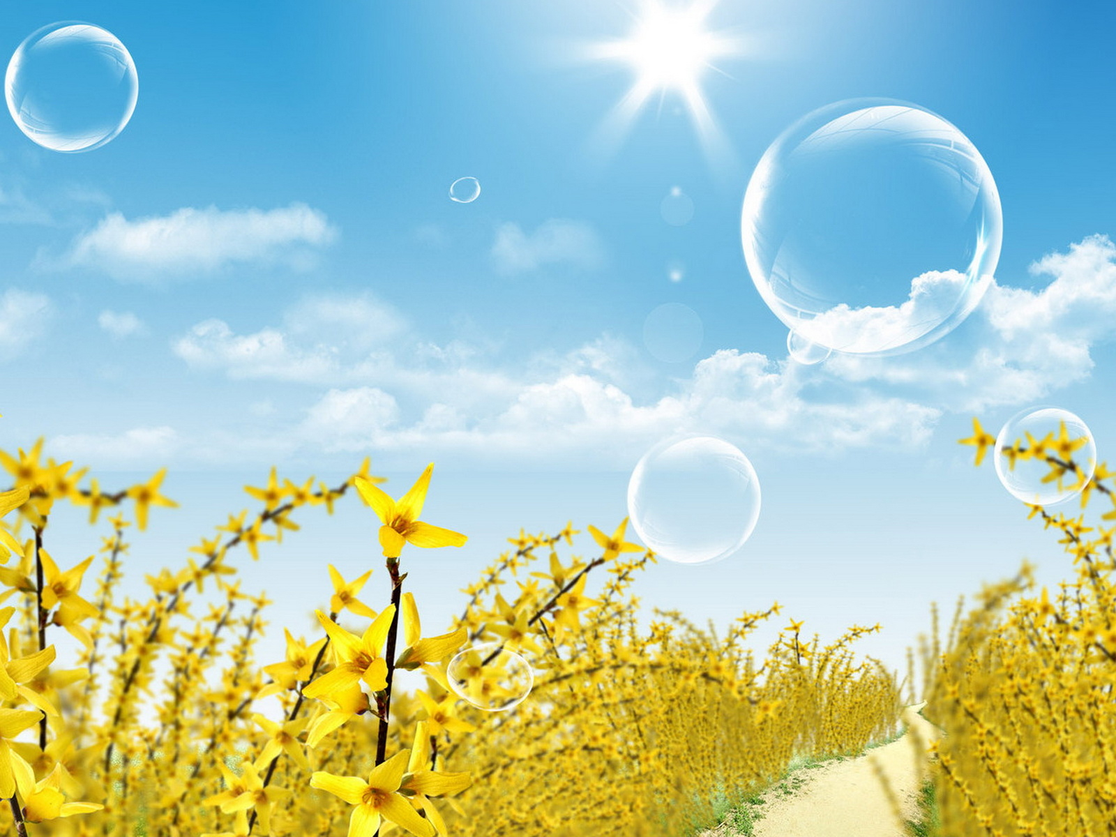 Пролетающие пузыри