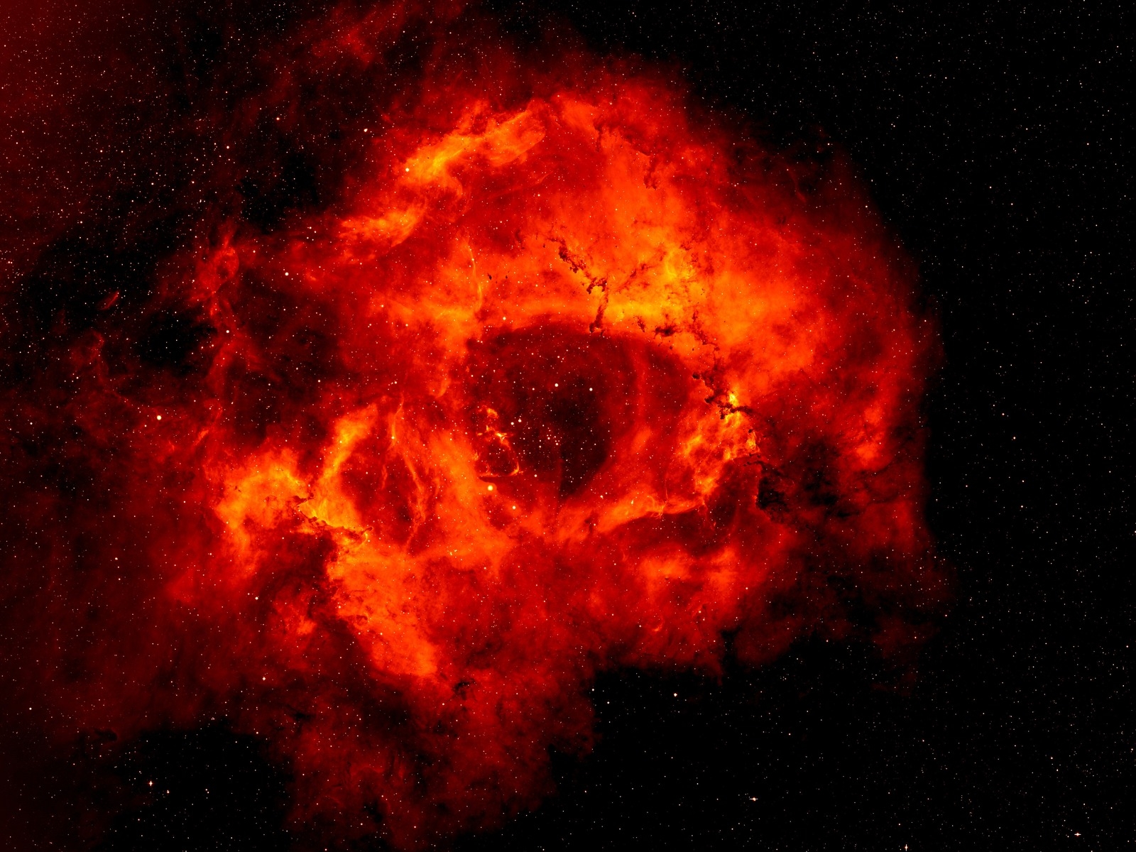 Туманность розетки