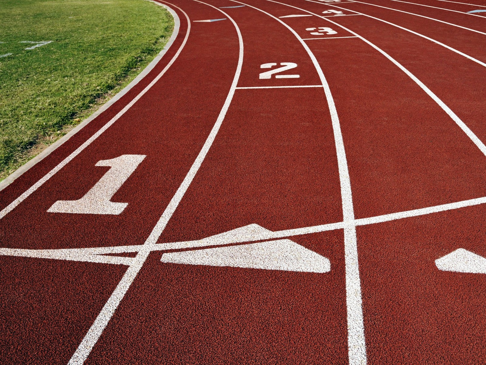 Беговая дорожка