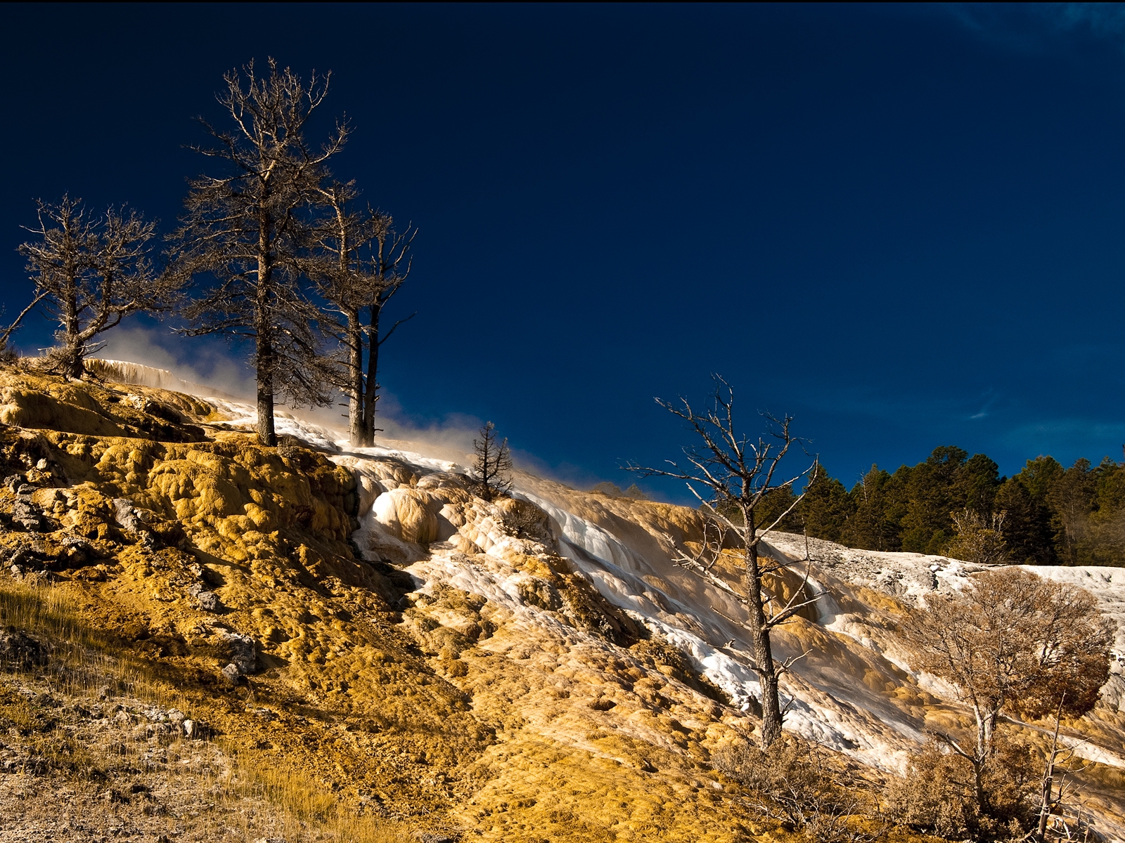 Природа в Йеллоустоуне США