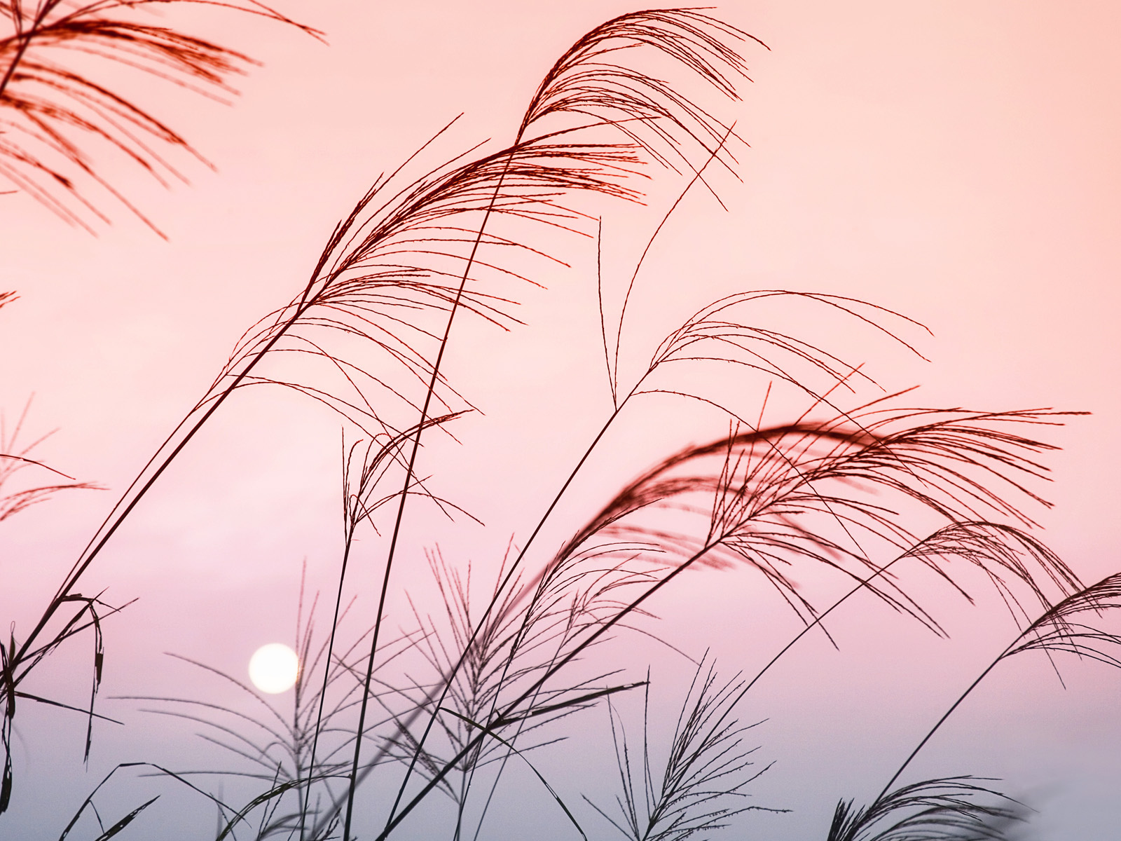 Солнечный закат в Китае