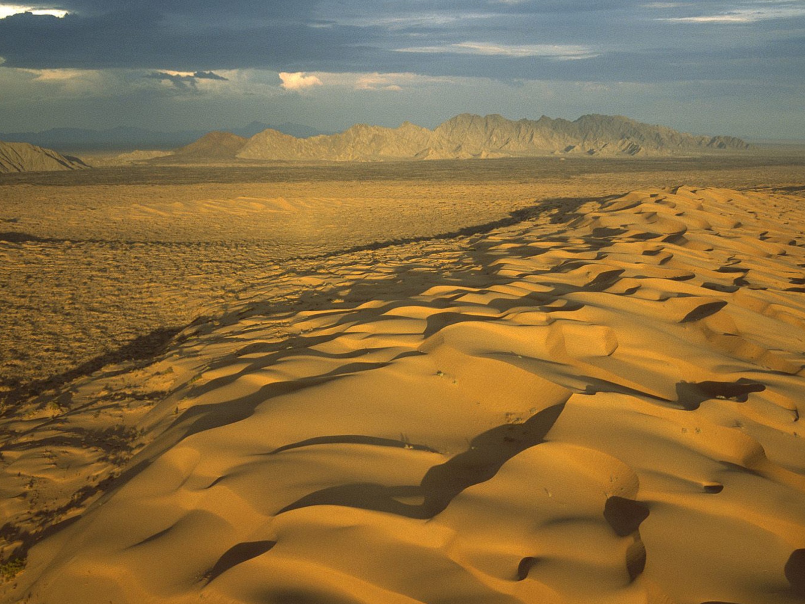 Мексиканская пустыня