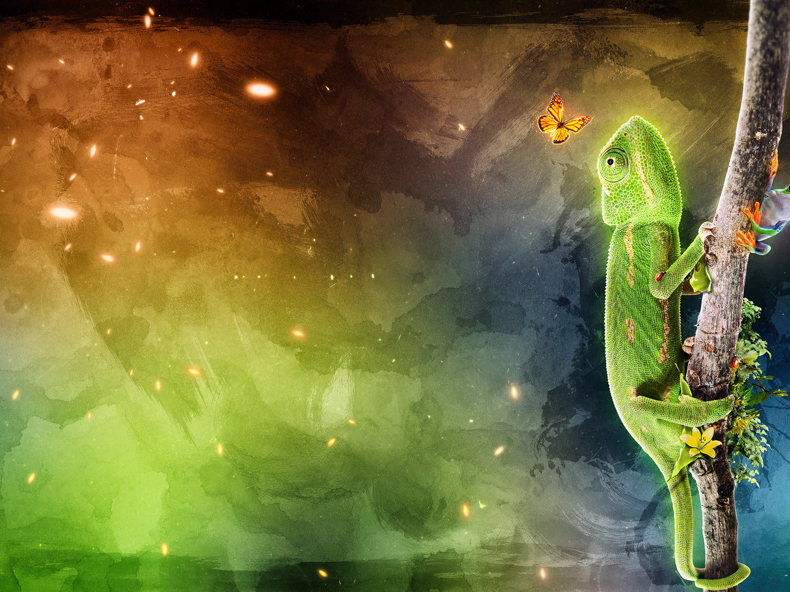 Хамелеон на ветке