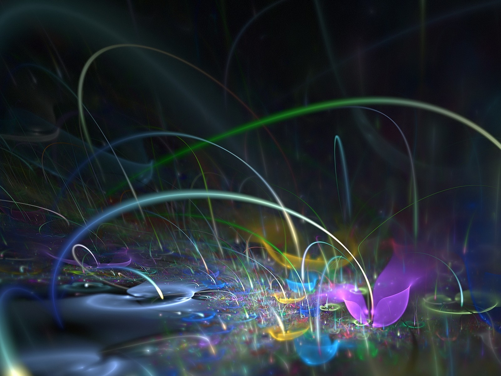 Разноцветные цветы и линии