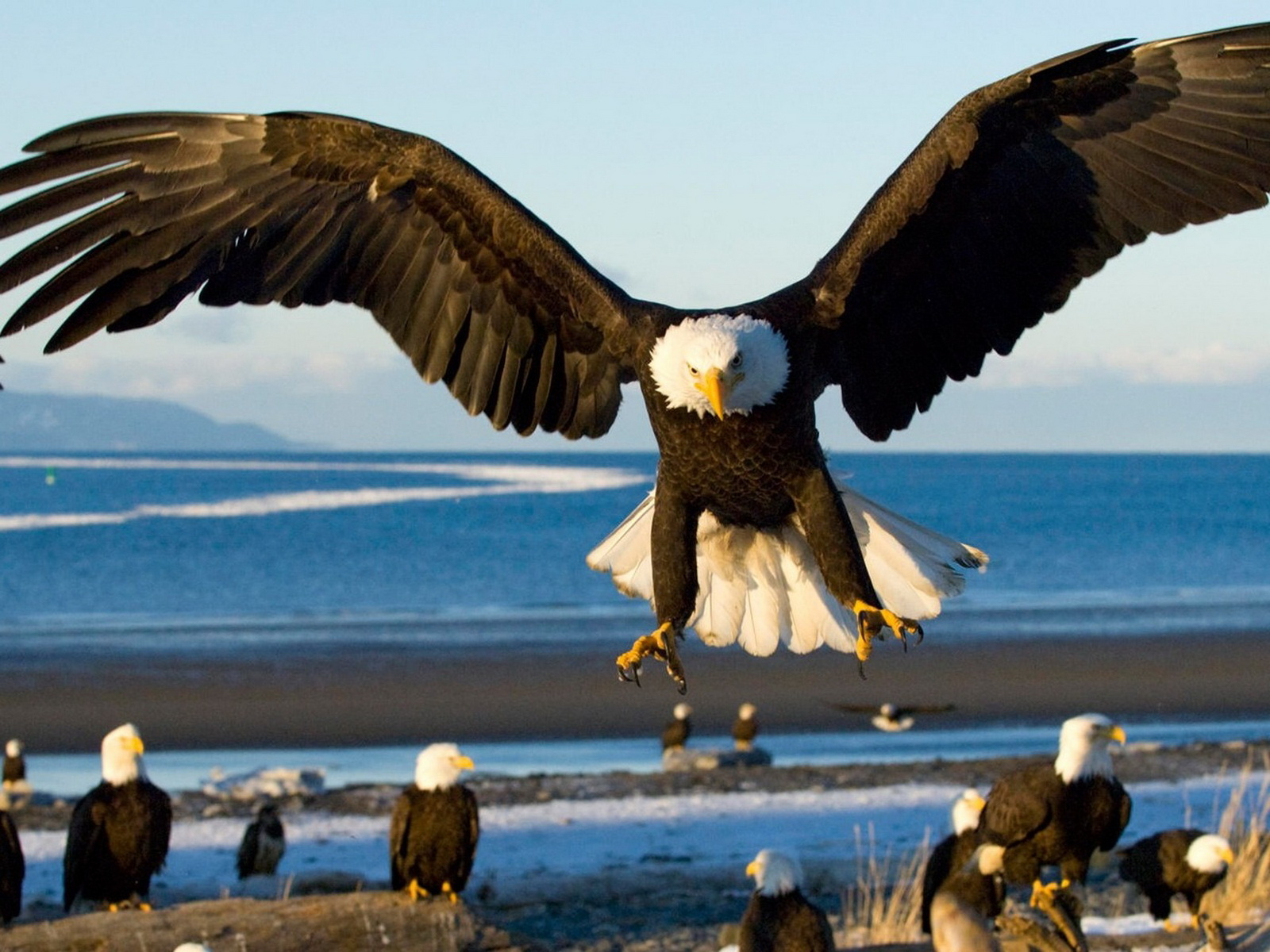 Грозный орел