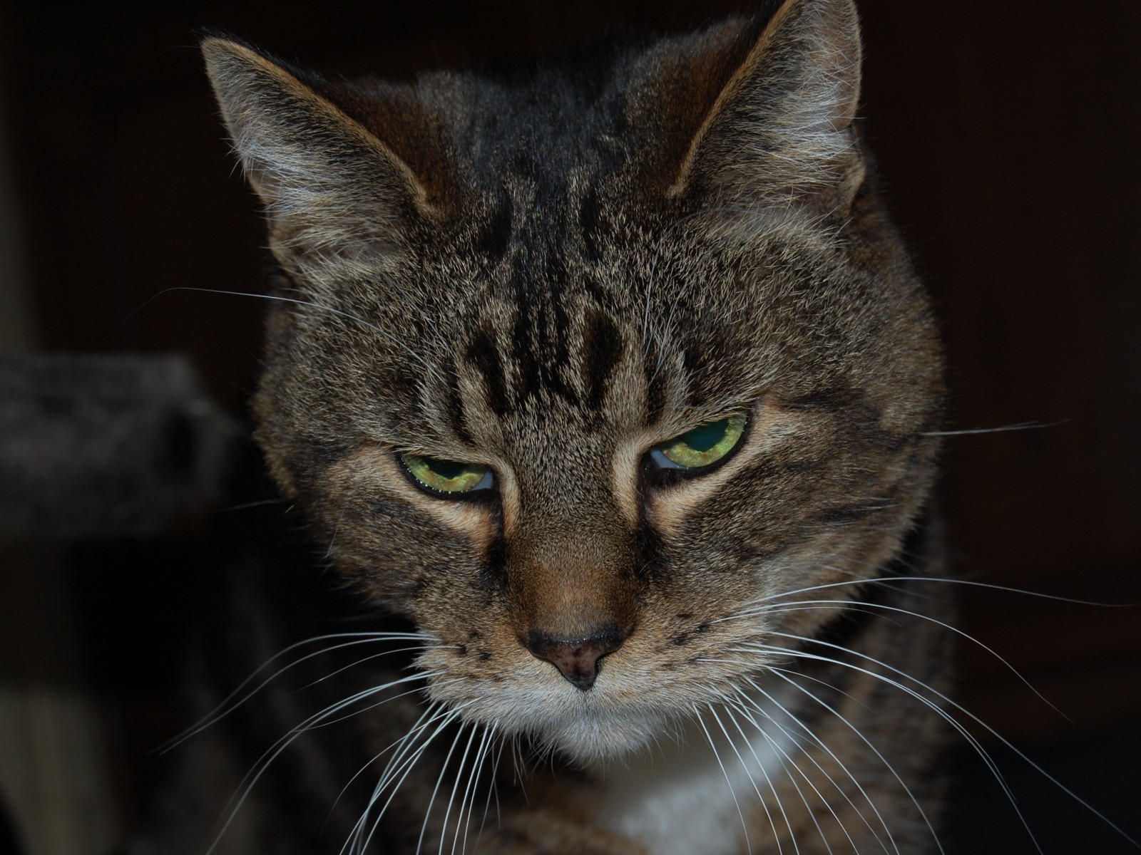 Весна сводит меня с ума