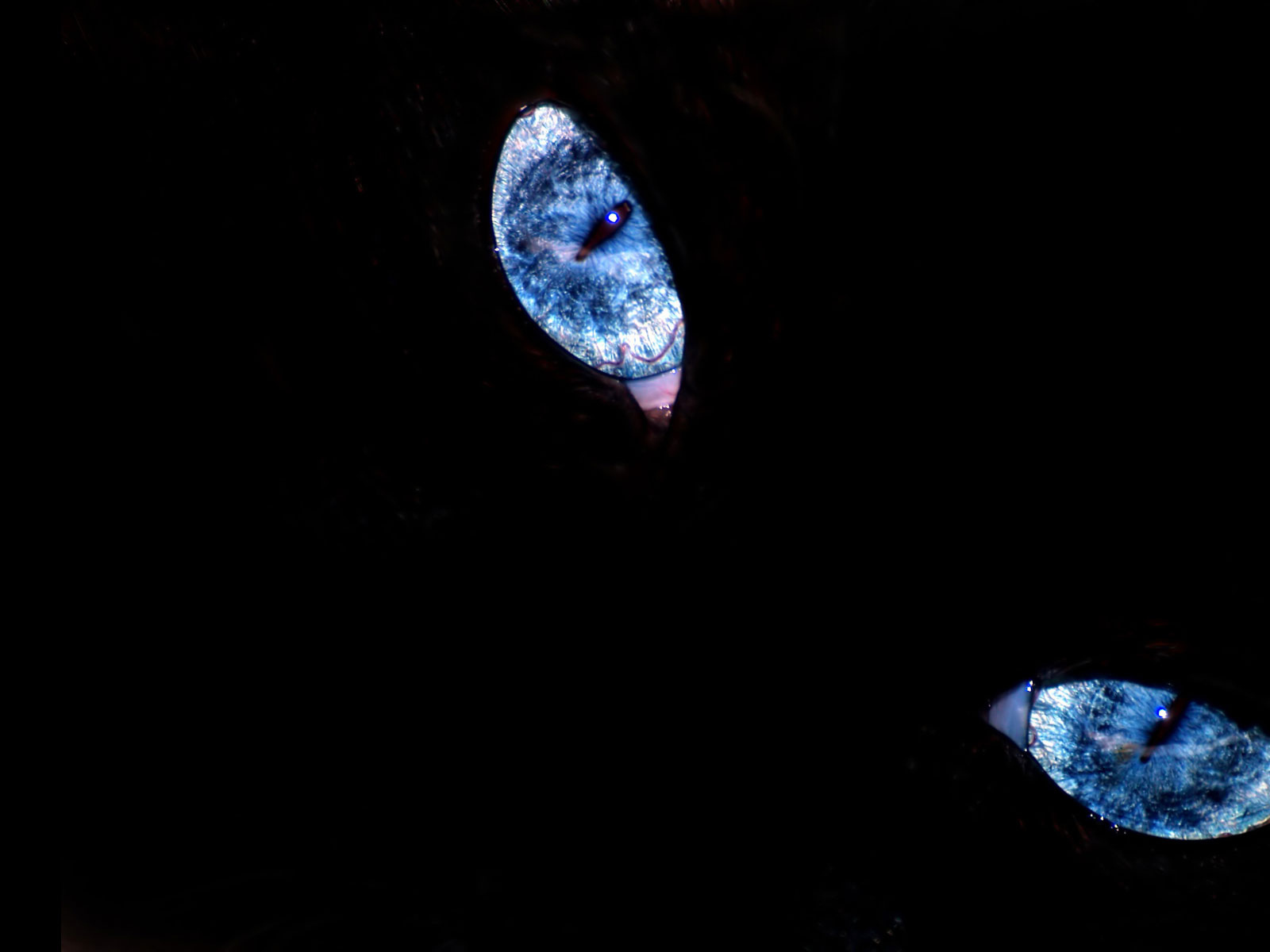 Эти глаза напротив