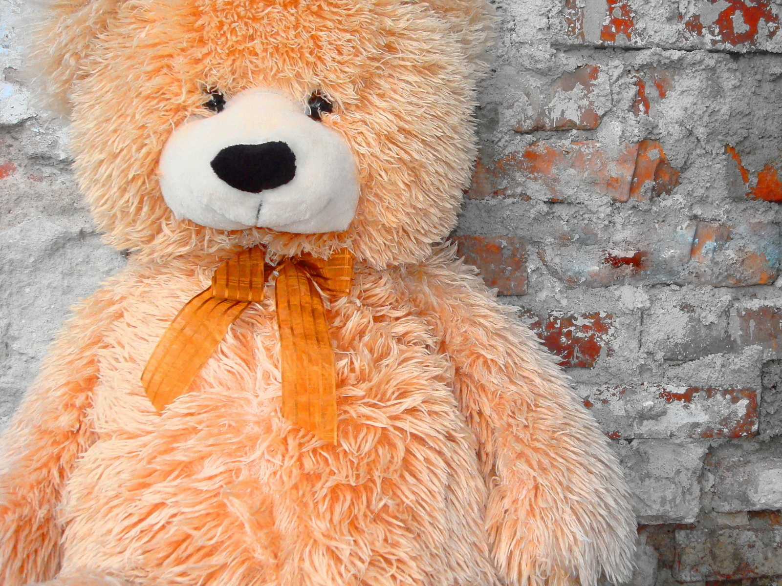 Игрушечный медведь