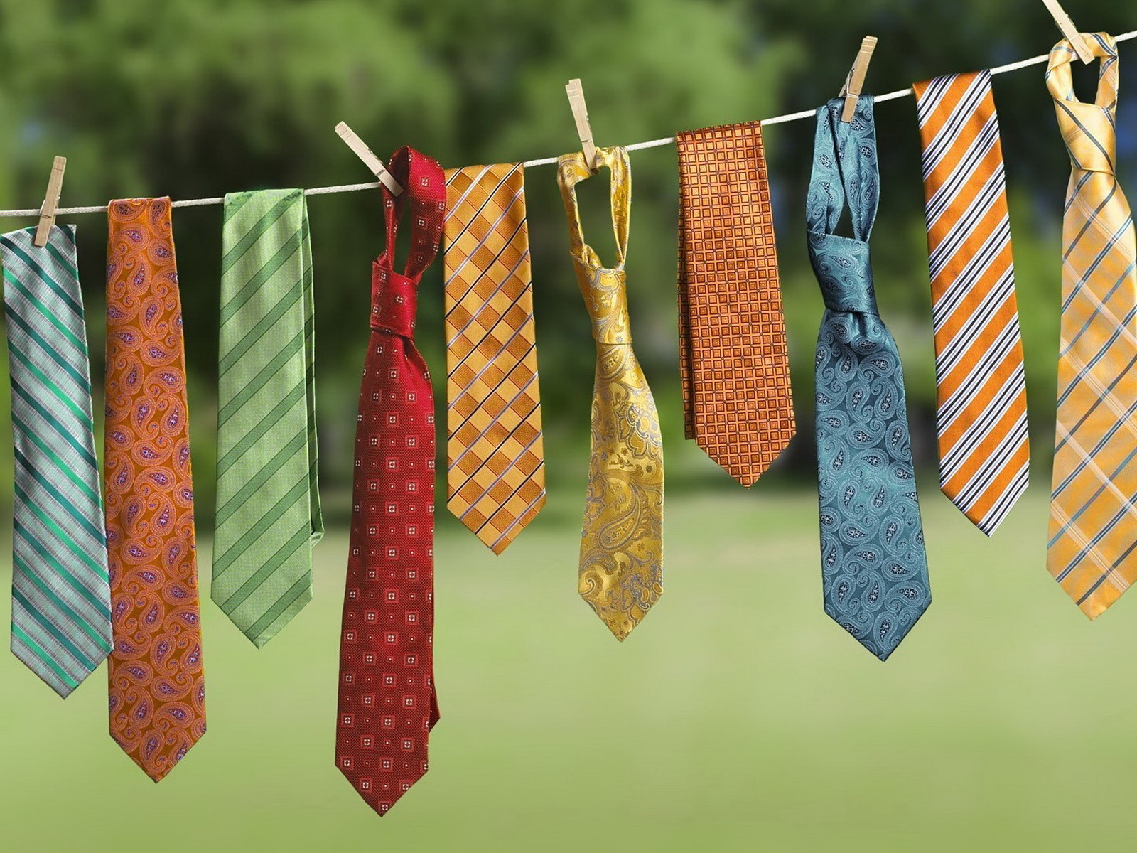 Галстуки на просушке