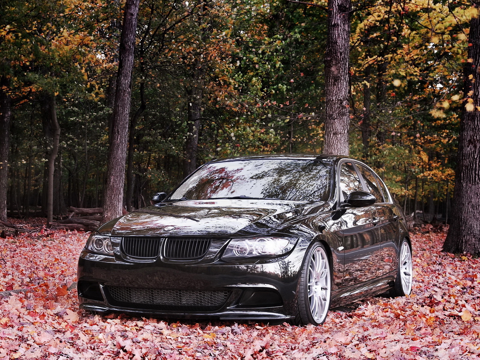 BMW 335i
