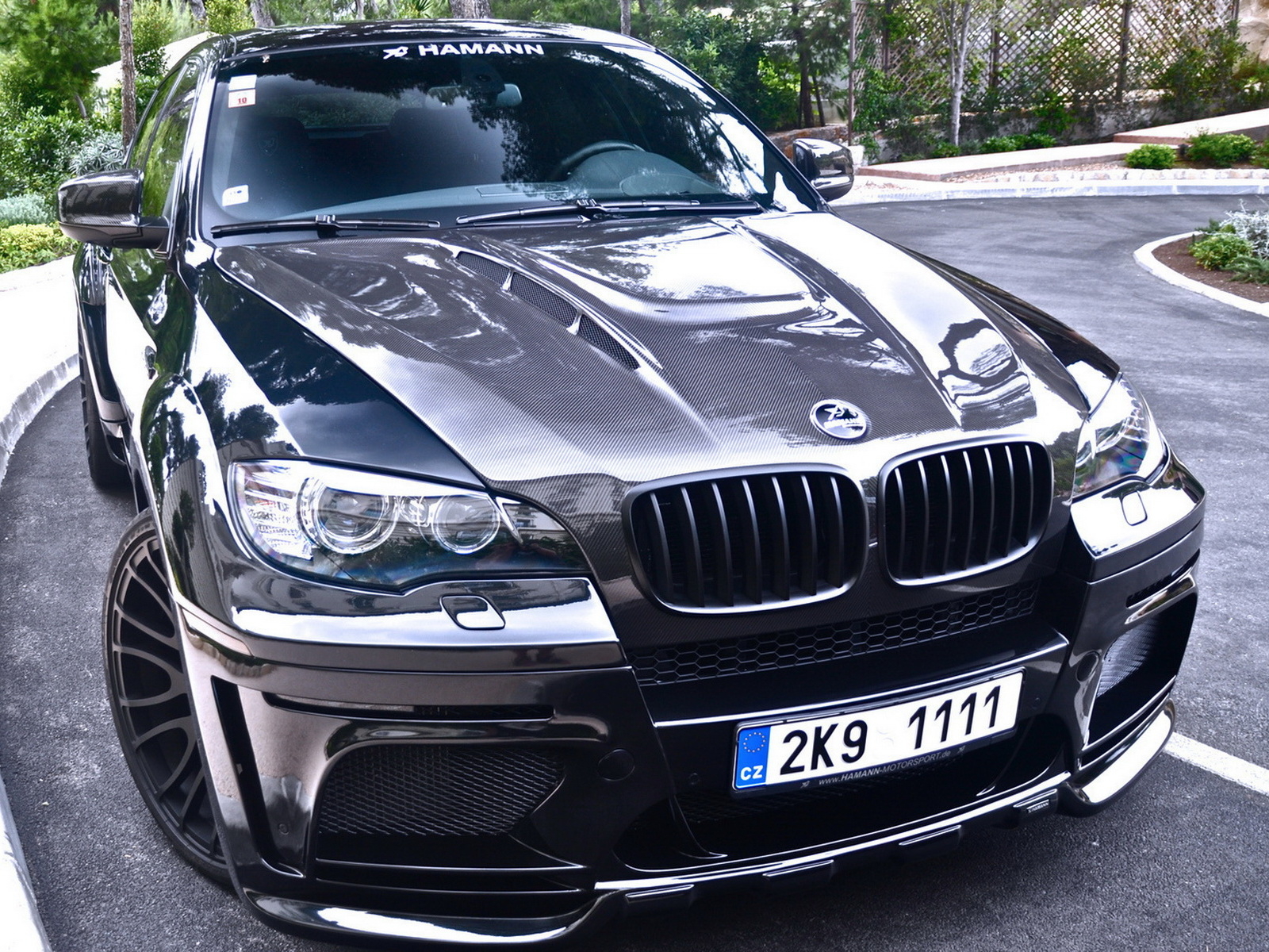 BMW X6 Hamann