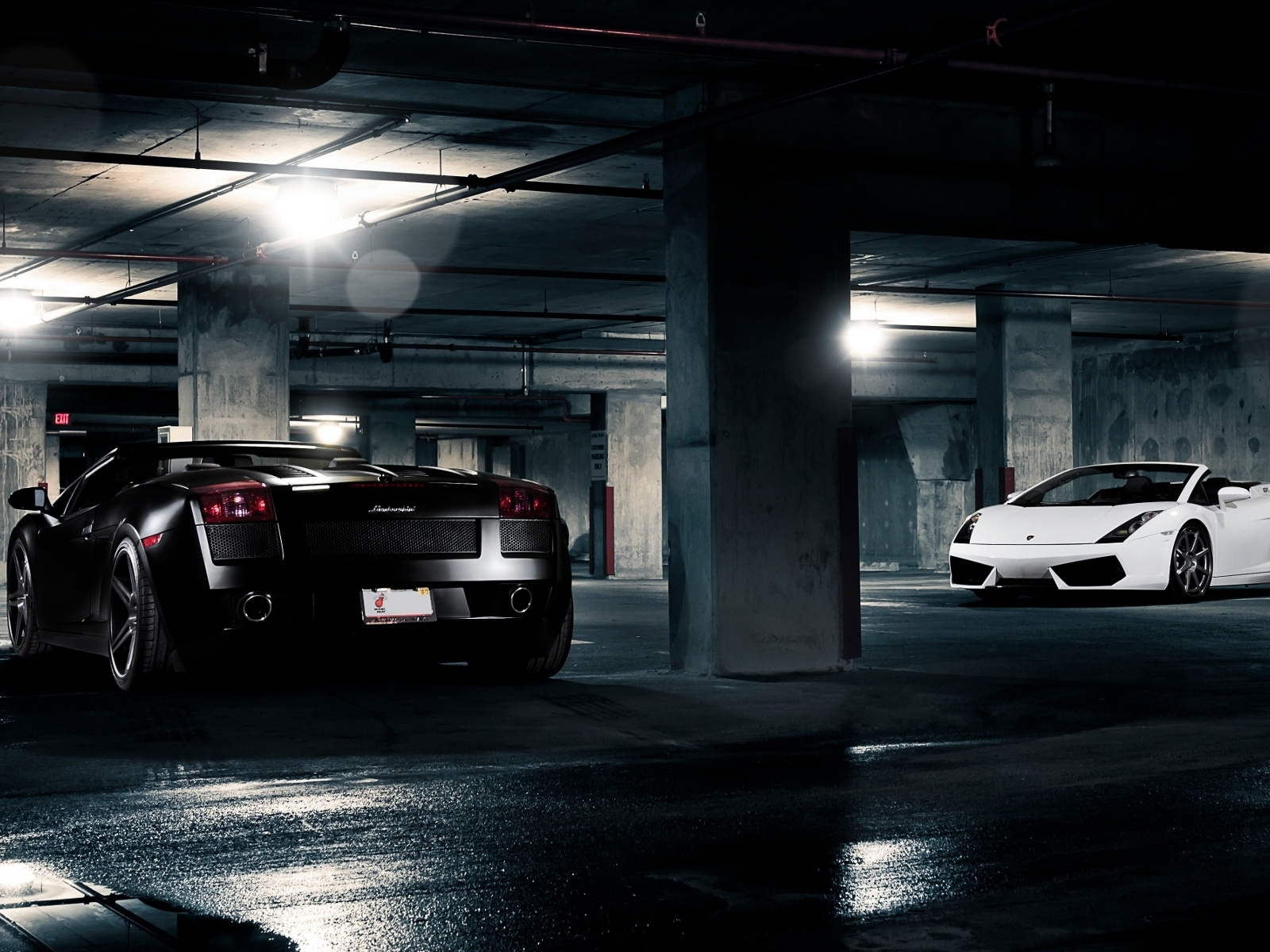 Lamborghini Gallardo White and Black