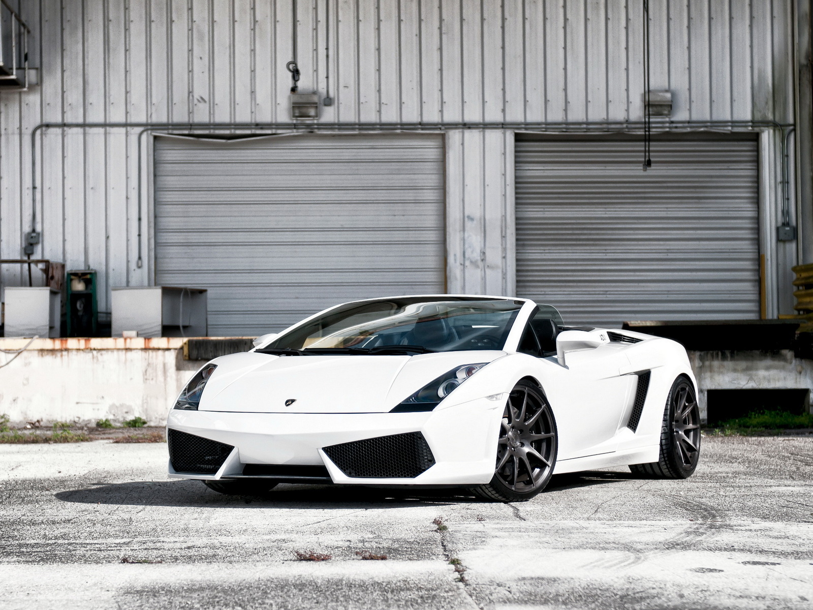 white Lamborghini Gallardo