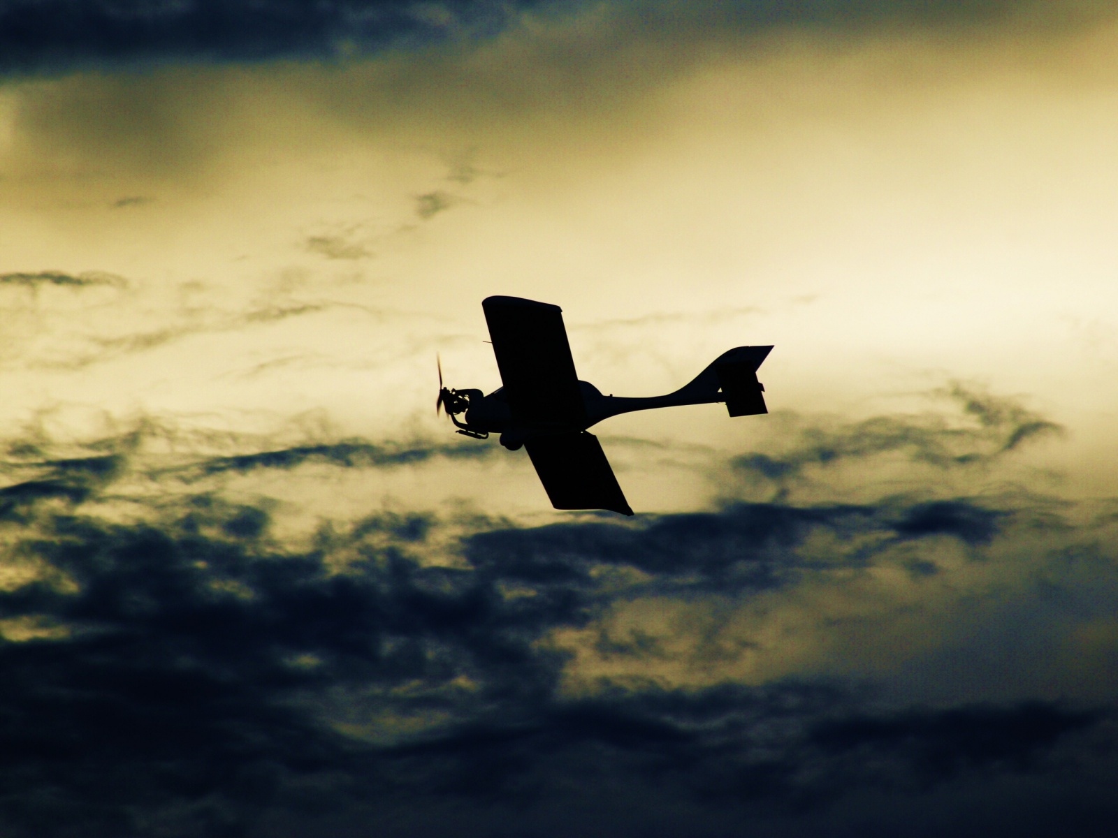 Самолет в небе