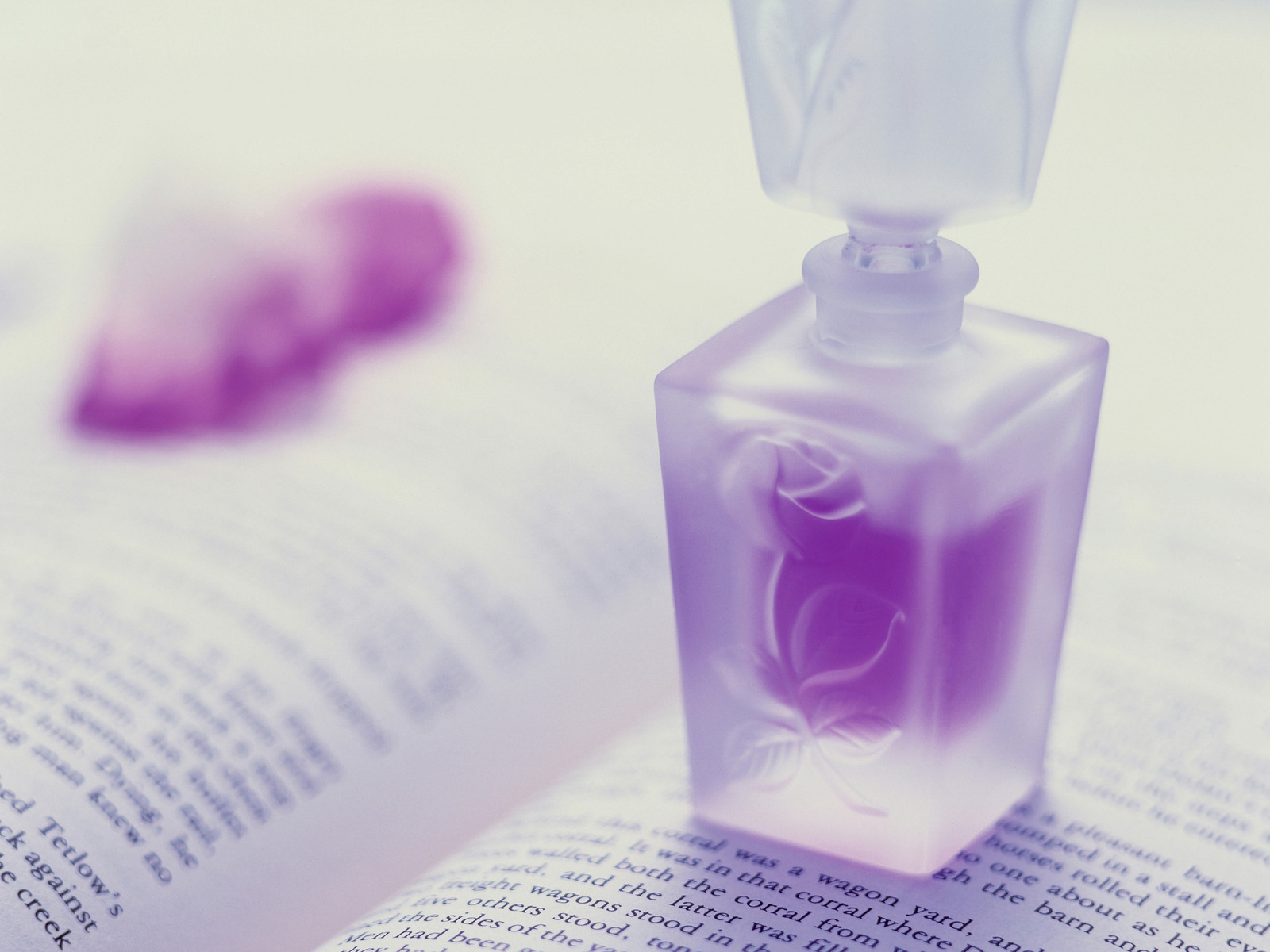 Лиловые духи