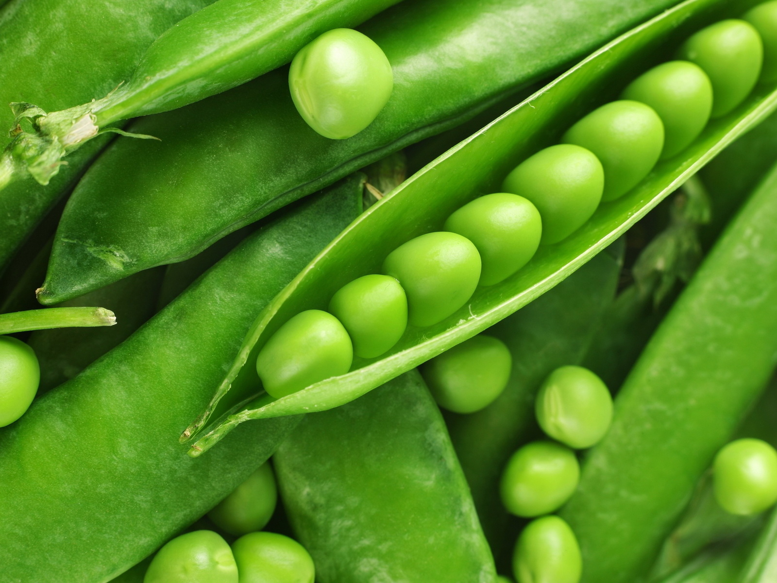 Зеленый горошек