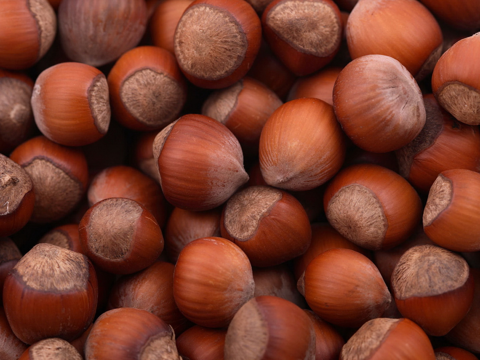 Лесные орехи
