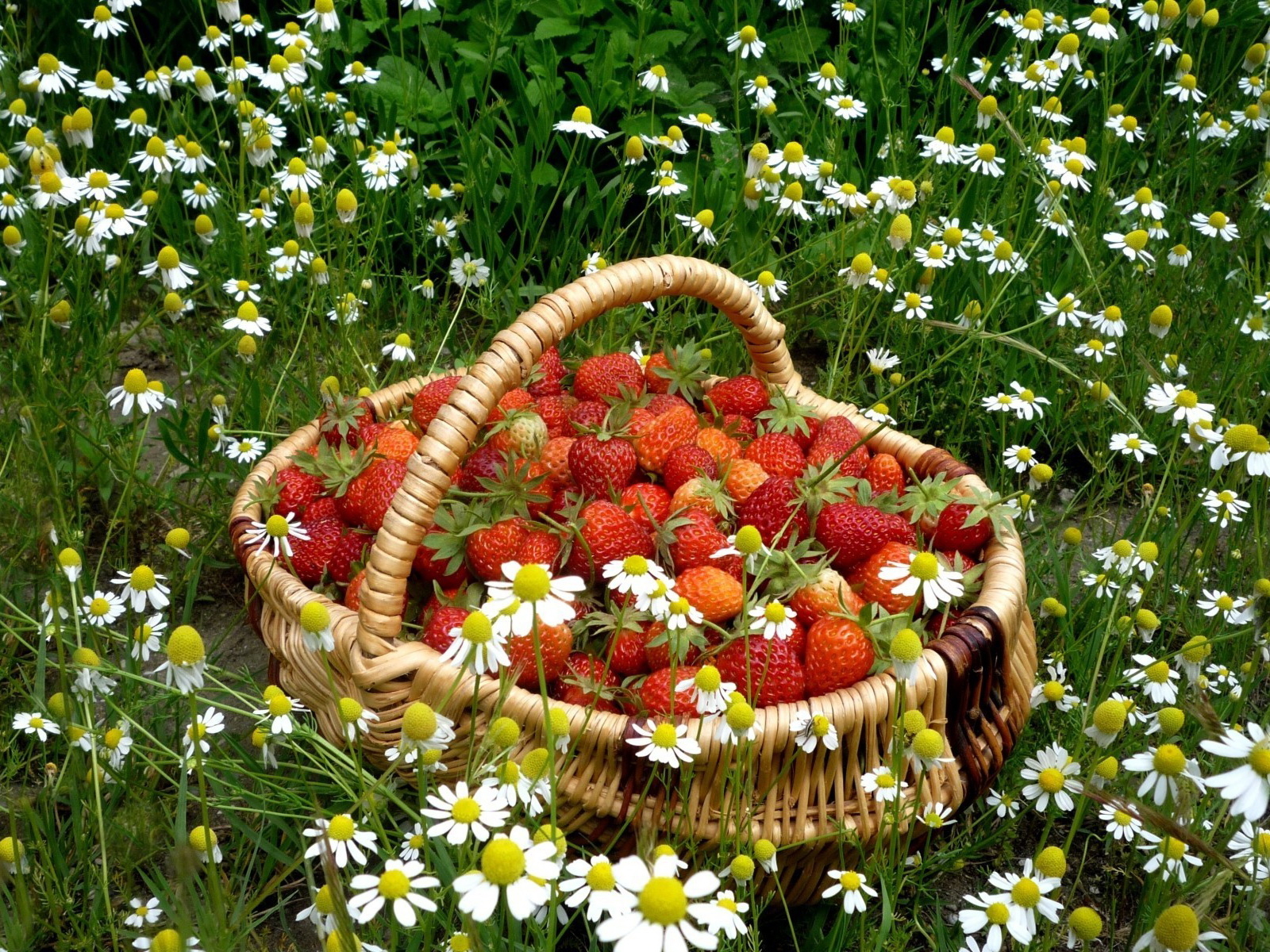 Корзинка с клубникой