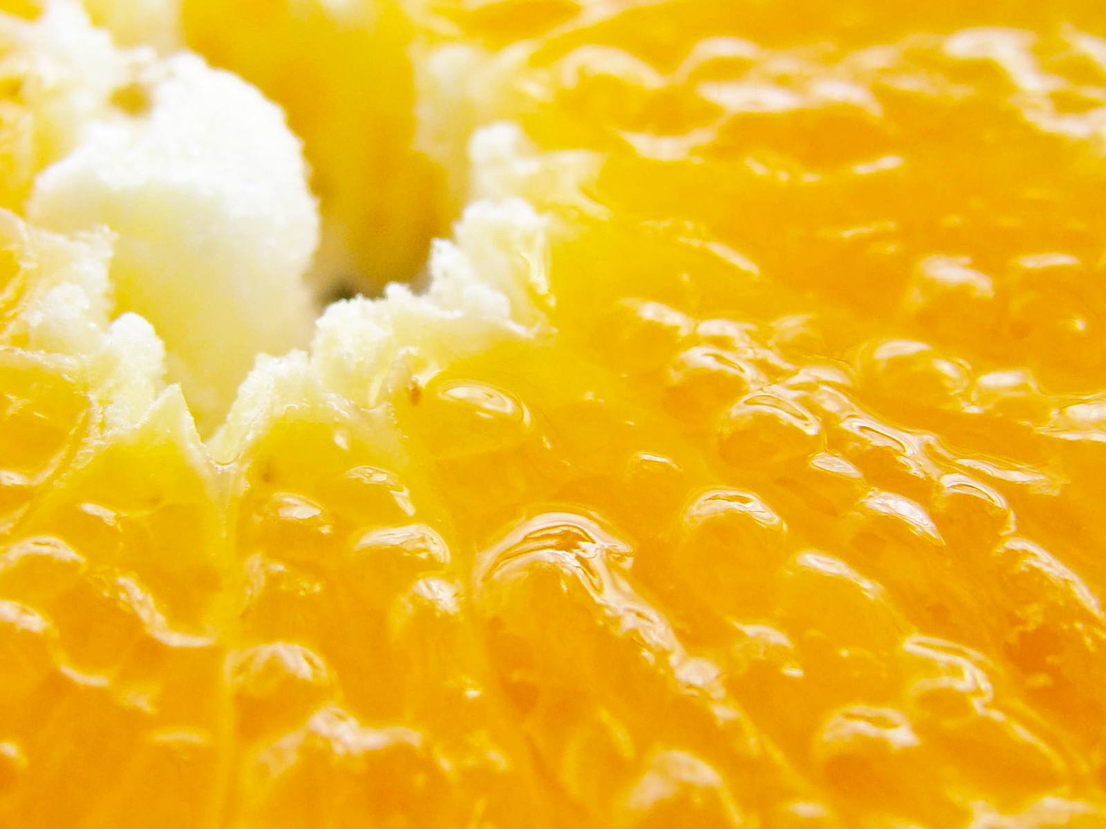 Мякоть апельсина