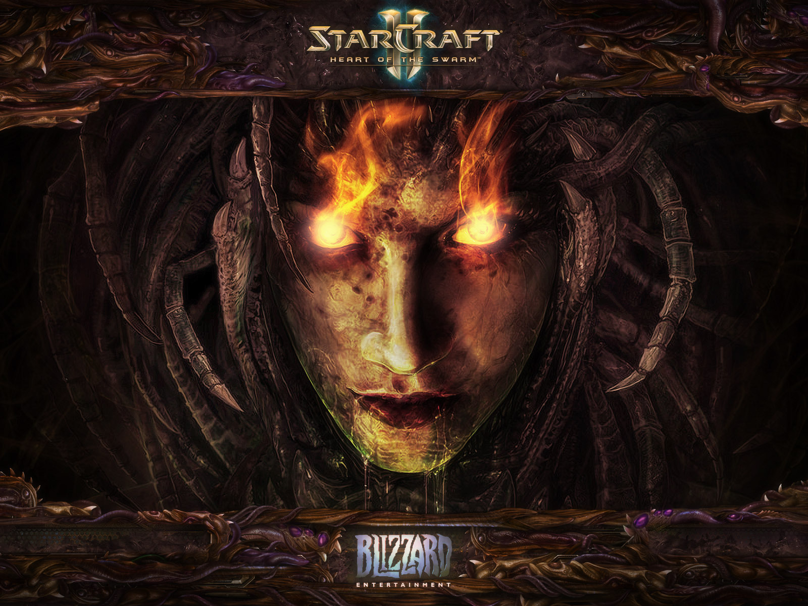 Starcraft 2: heart of the swarm