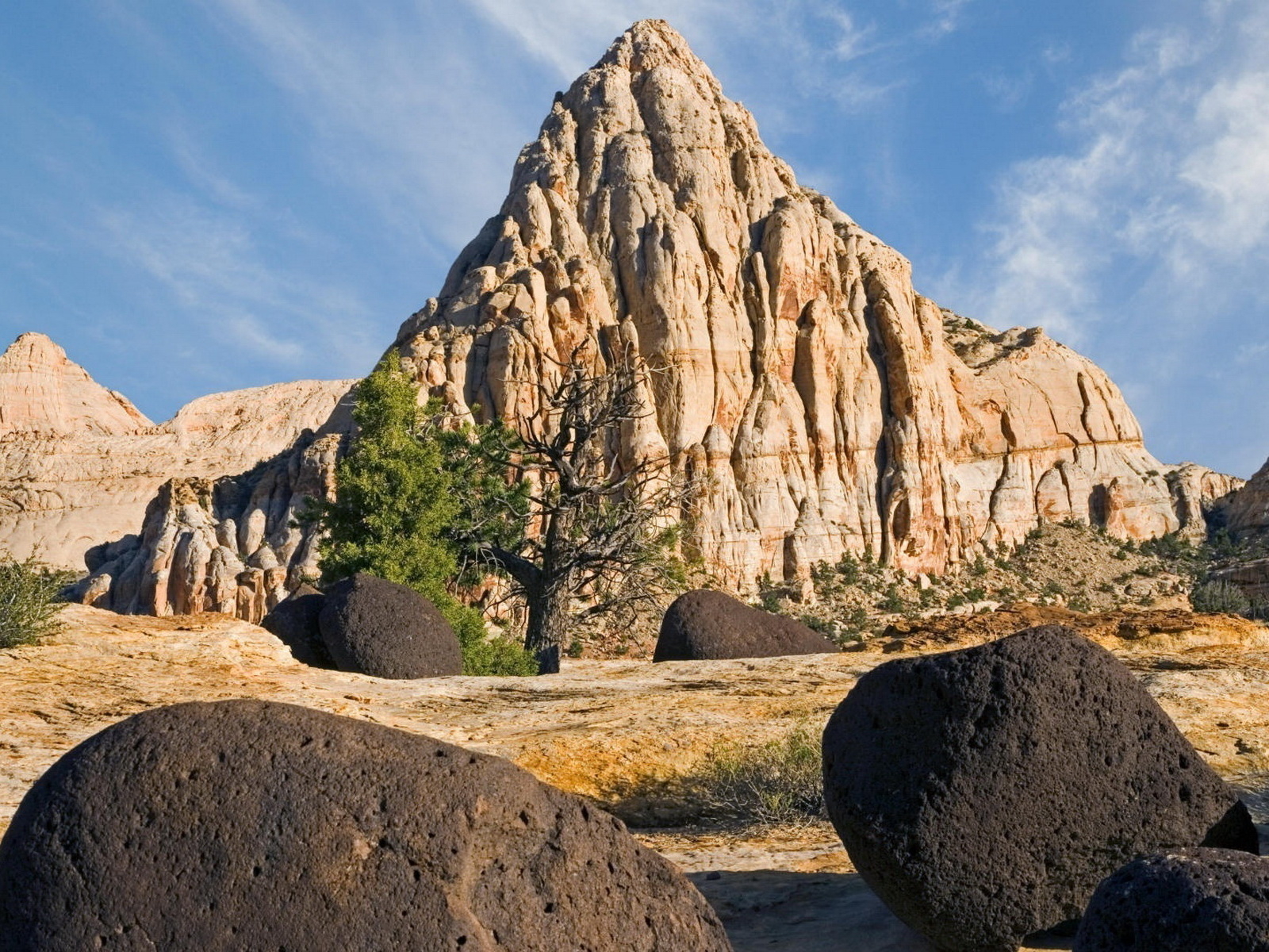 Пустынный пейзаж