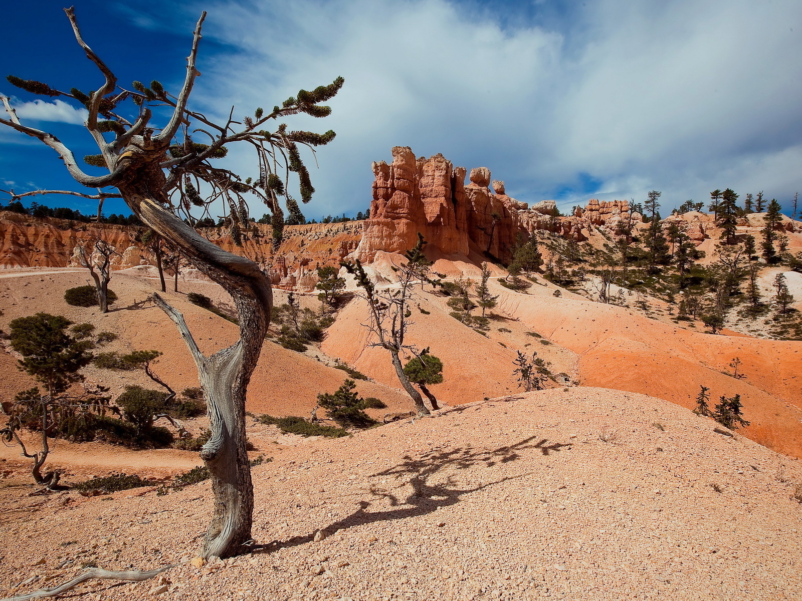 Пустынные холмы