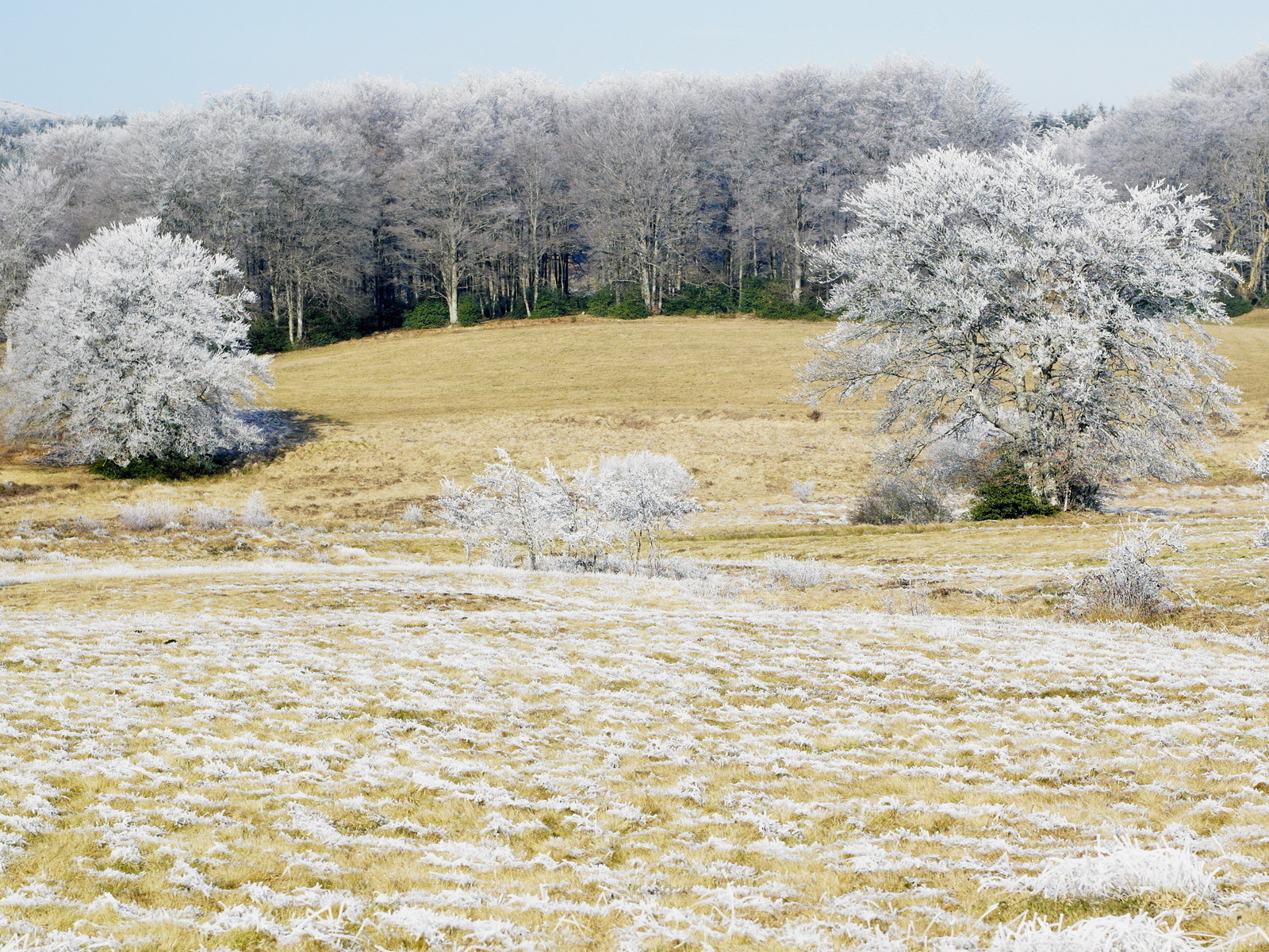 Холодным утром