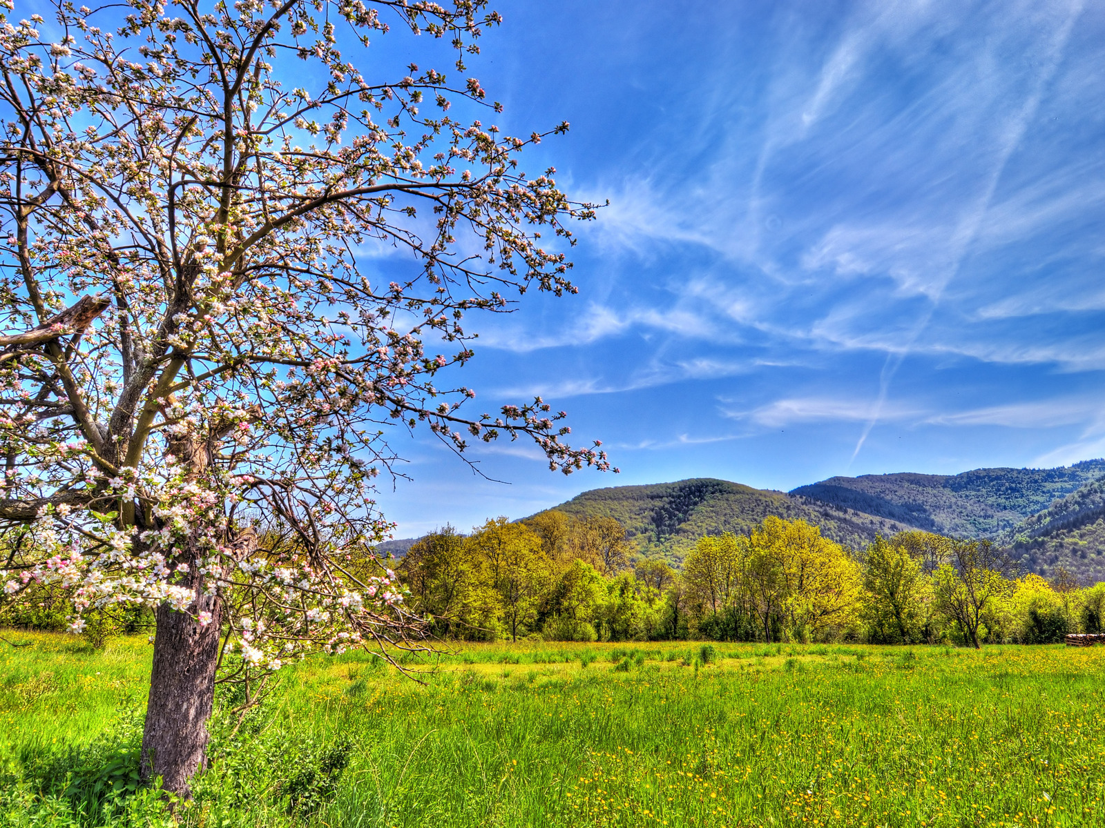 Весенний пейзаж