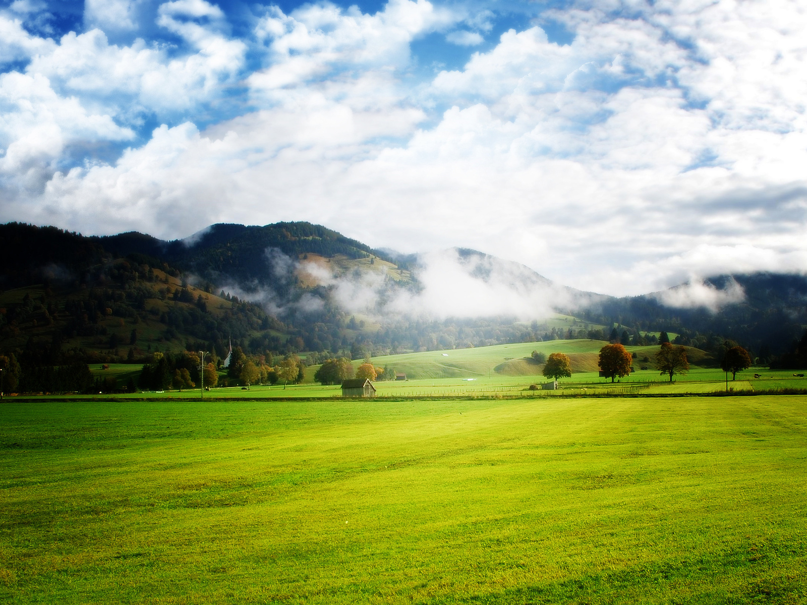 Просторы полей