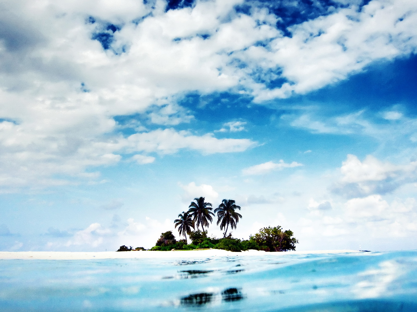 Дикий остров