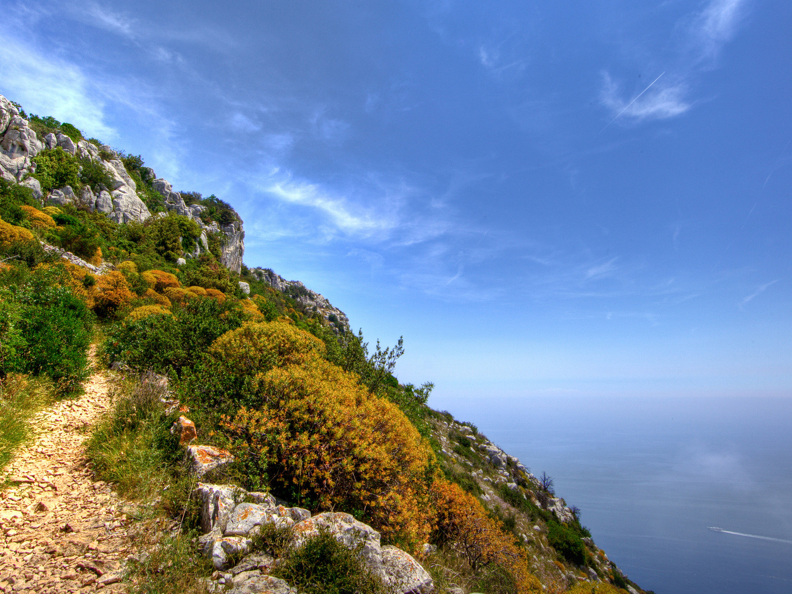 На вершине цветущей скалы