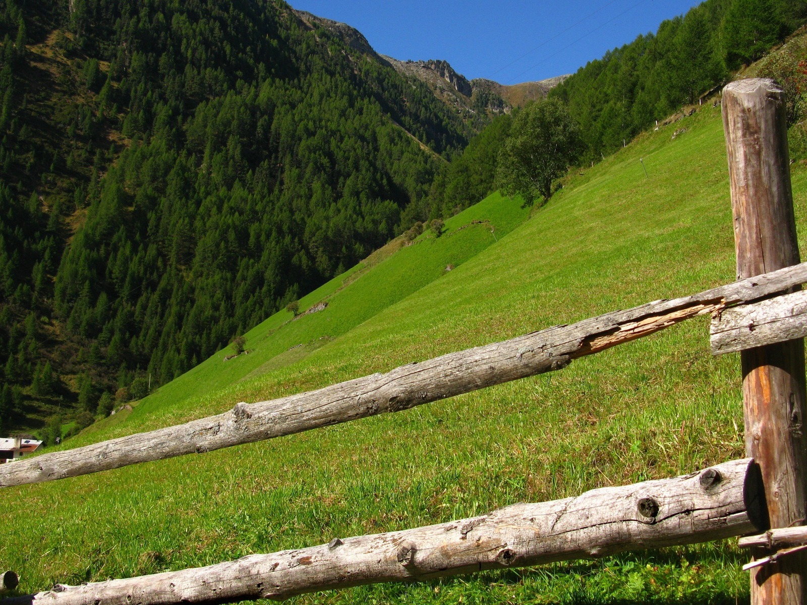 На склонах гор