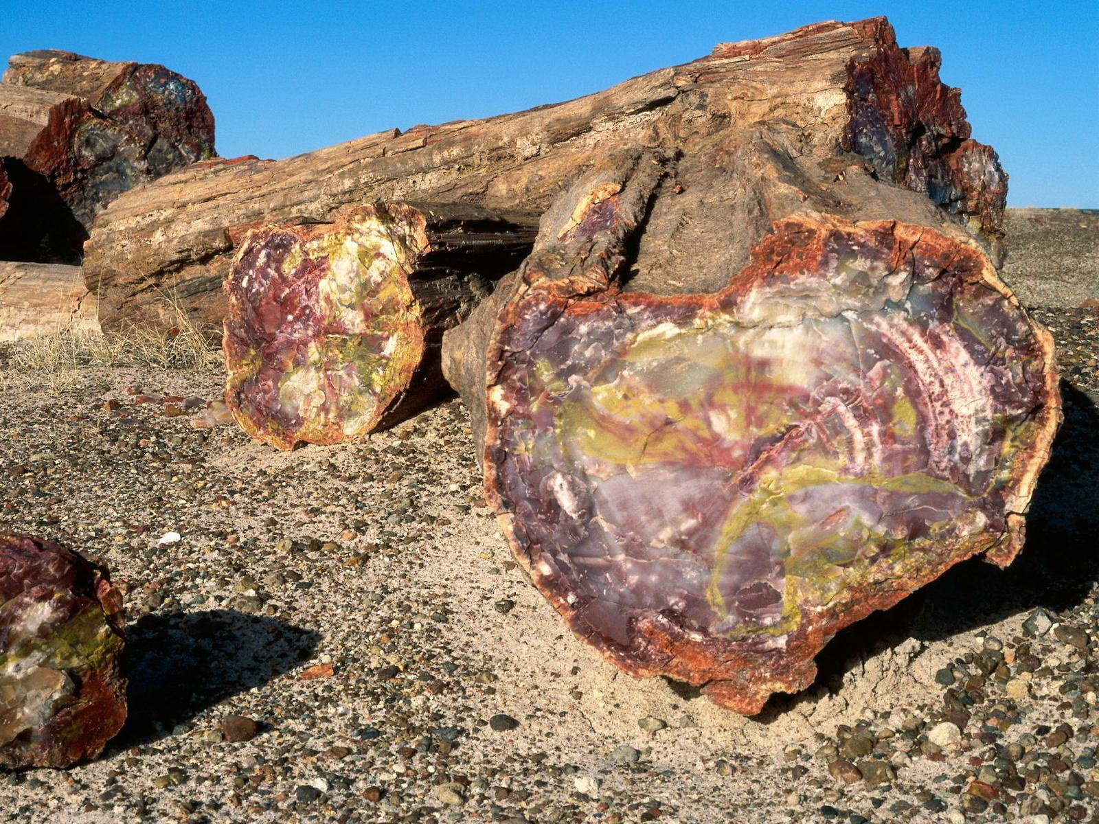 Древняя порода