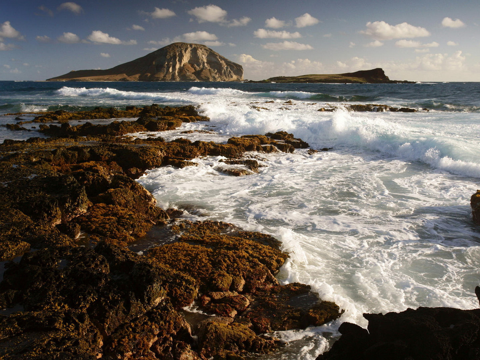 Морской берег