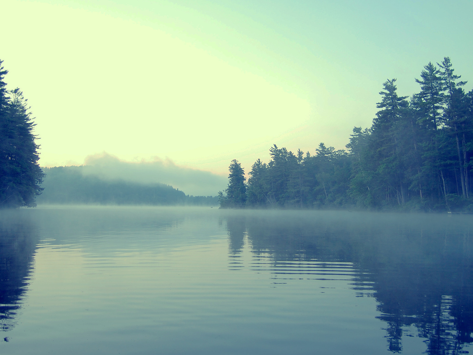 Туман в сумерках