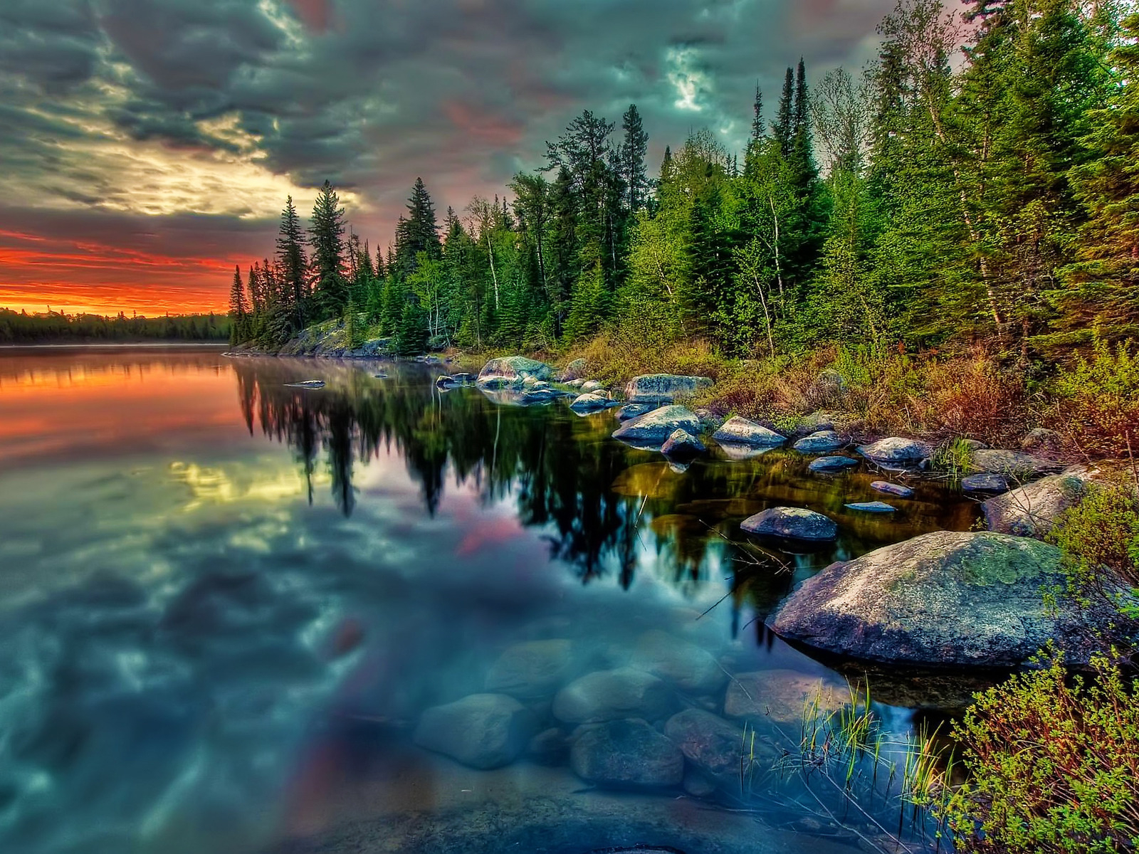 Лесное озеро