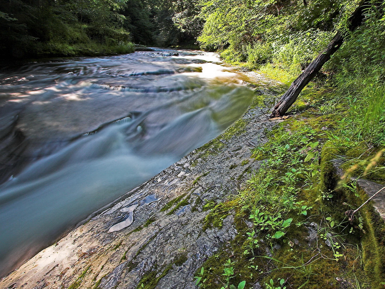 Стремительная речка