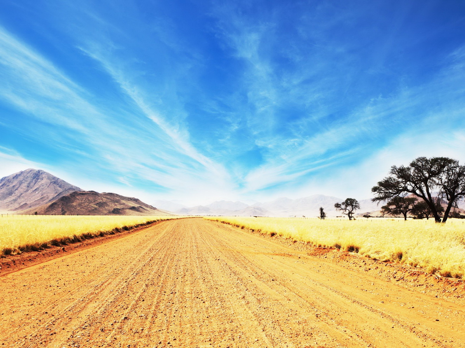 Дорога в саванне