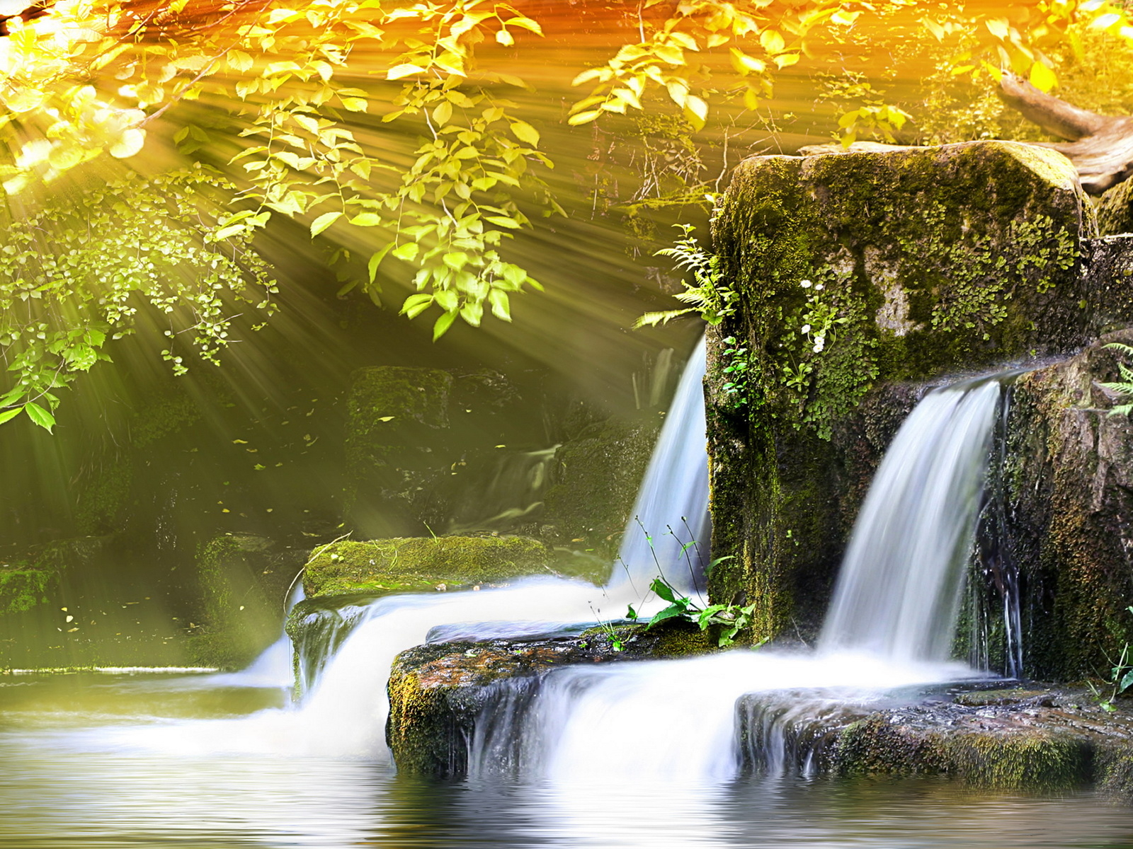 Урчащий ручей