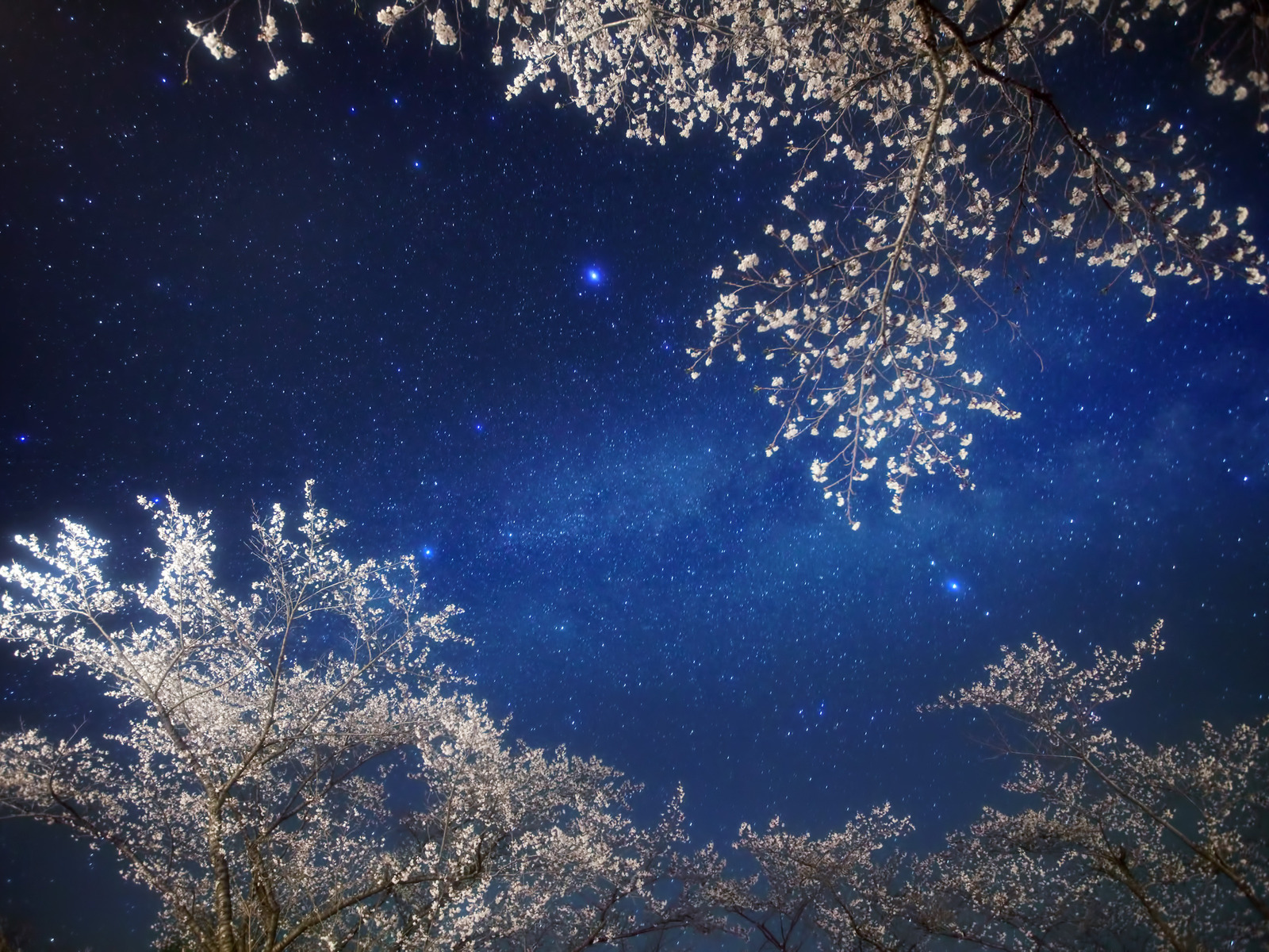 Млечный путь