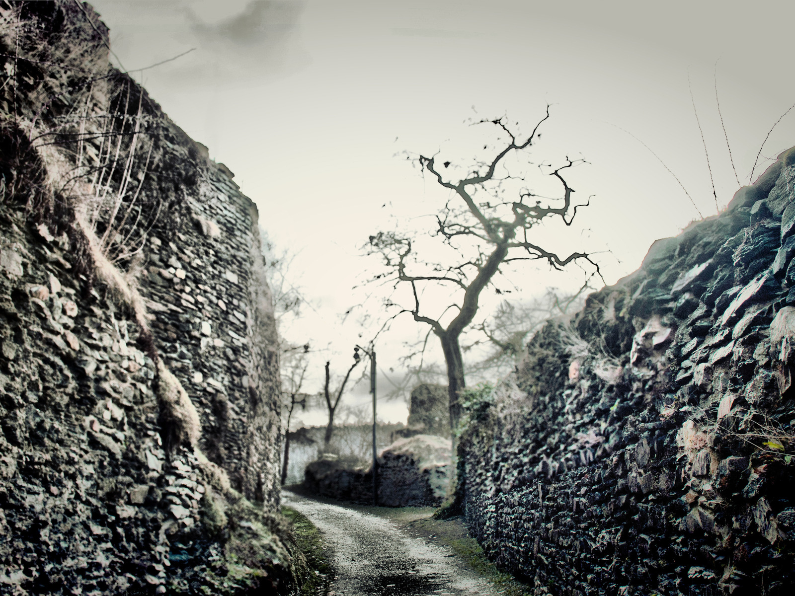 Дорожка между стен