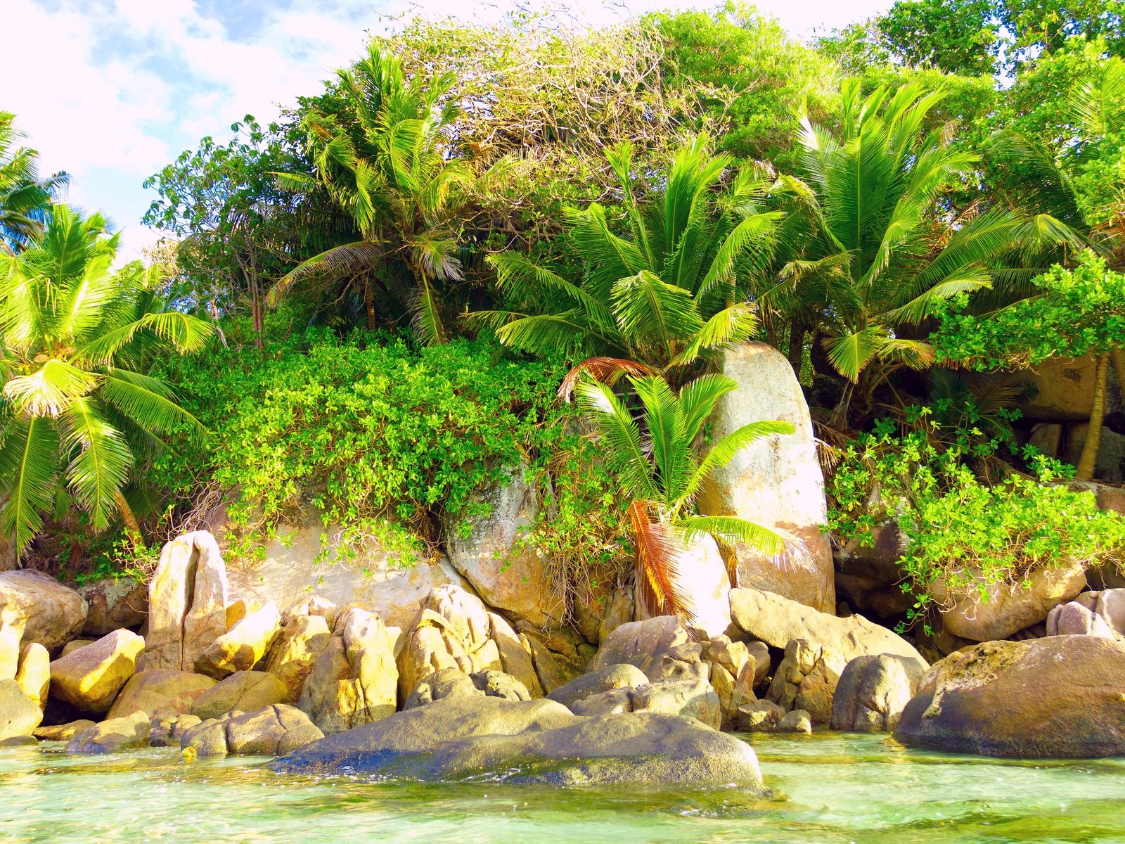 Природа тропиков