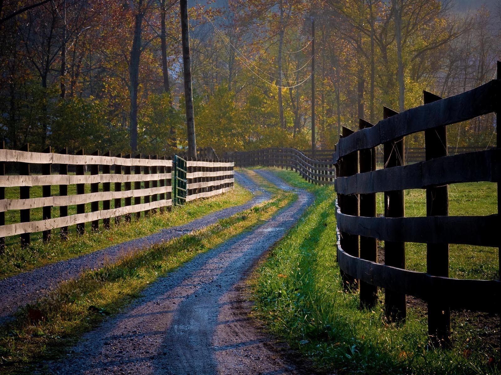 Деревянные заборы