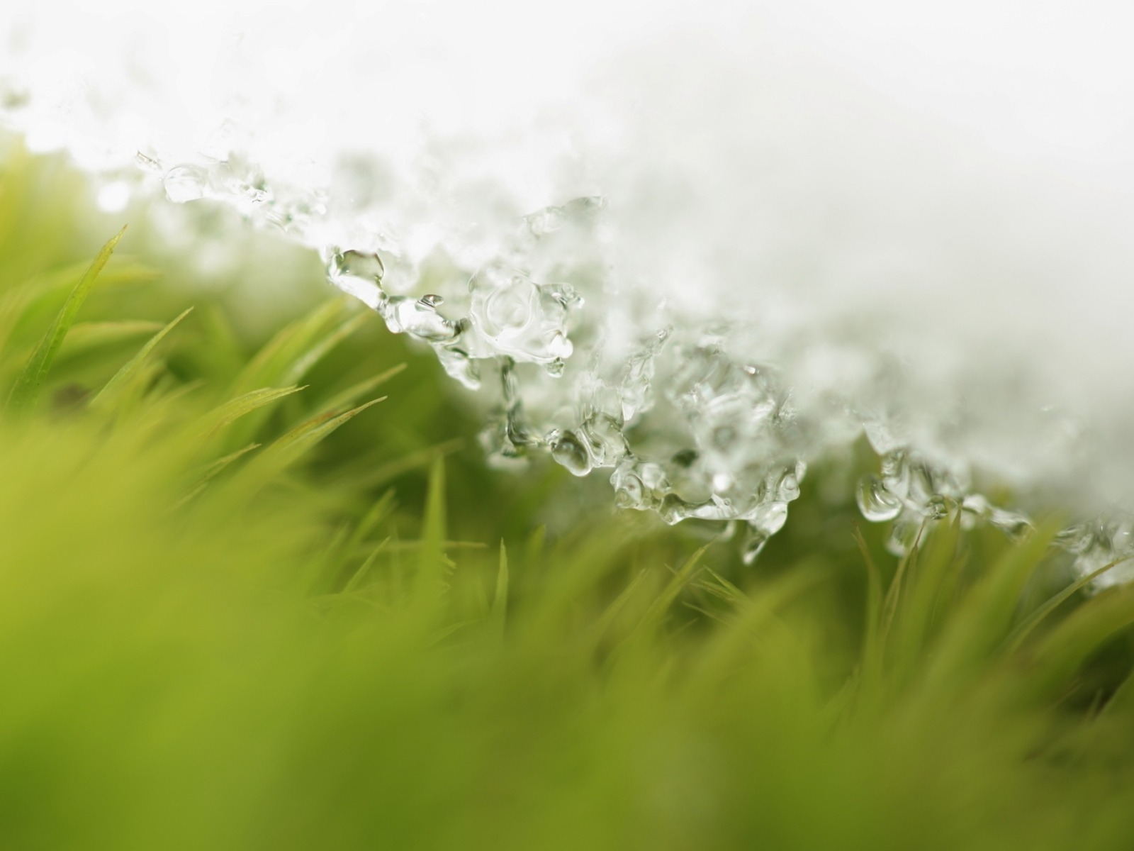 Пришла весна